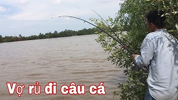 Đi câu cá ngát và dã ngoại trên sông Cần Giuộc