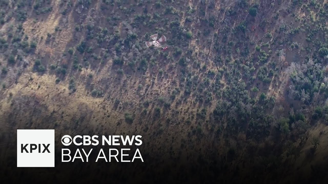 Watch: View above small plane crash site near Mount Hamilton - YouTube
