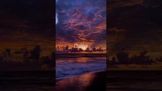 Download Lagu chaleya lyrics#trendingshorts #shortsvideo #goneviral #chaleya MP3 Download Lagu chaleya lyrics#trendingshorts #shortsvideo #goneviral #chaleya MP3