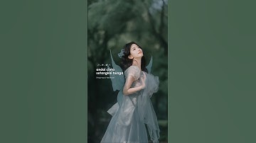 Tiara Andini - Kupu Kupu Lyric video #kupukupu #tiaraandini #afgan #musikbaru