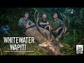 Whitewater Wapiti Bugle 2021 Ballot Period 2 | Fiordland Hunting New Zealand