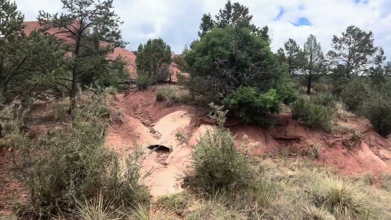 Colorado Springs Garden of the Gods horse ride 4