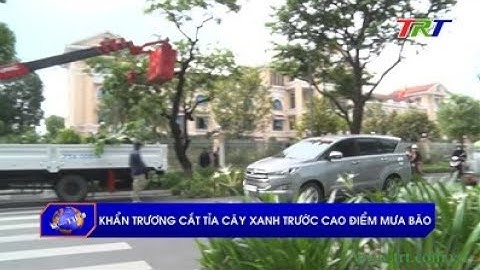 Khẩn trương cắt tỉa cây xanh trước cao điểm mưa bão
