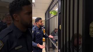 Funny Parrot | Parrot Roasting | Parrot Funny Birds |  Police 💀💀😭😭🎤🎤🦜☠️