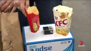 Seagull-Proof Chips
