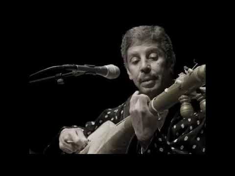 غرست وردة ولات شجرة لإبن محمد رويشة اكسبلور 