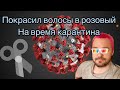 Покрасил волосы в розовый цвет (На время карантина)