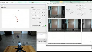 Virtual line following robot