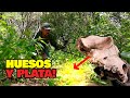 Encuentro PLATA 💰 Buscando TESOROS en una HACIENDA de Hace 300 Años!