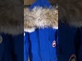 The jacket for winter from canada goosecolor blue