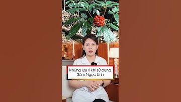 Những lưu ý sử dụng Sâm Ngọc Linh | Sâm Ngọc Linh Tuệ Linh #shorts