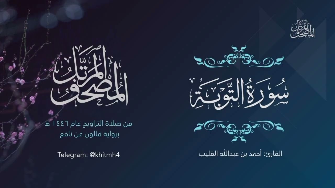 سورة التوبة | الشيخ أحمد القُلَيْب 