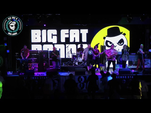 The Specialized Project - Big Fat Panda