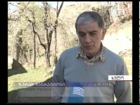 არასრულწლოვანთა ქორწინება ხულოში