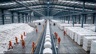 How Millions of Tons of Cotton Are Turned Into Clothing | Full Factory Process