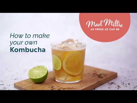How to make Kombucha with Mad Millie