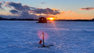 100+ Flags While Ice Fishing on Lake Champlain!!