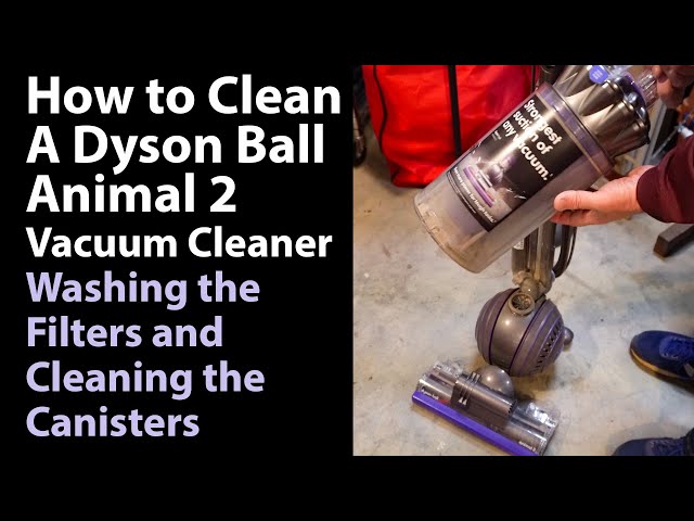 Dyson Ball Animal 2 post motor filter location