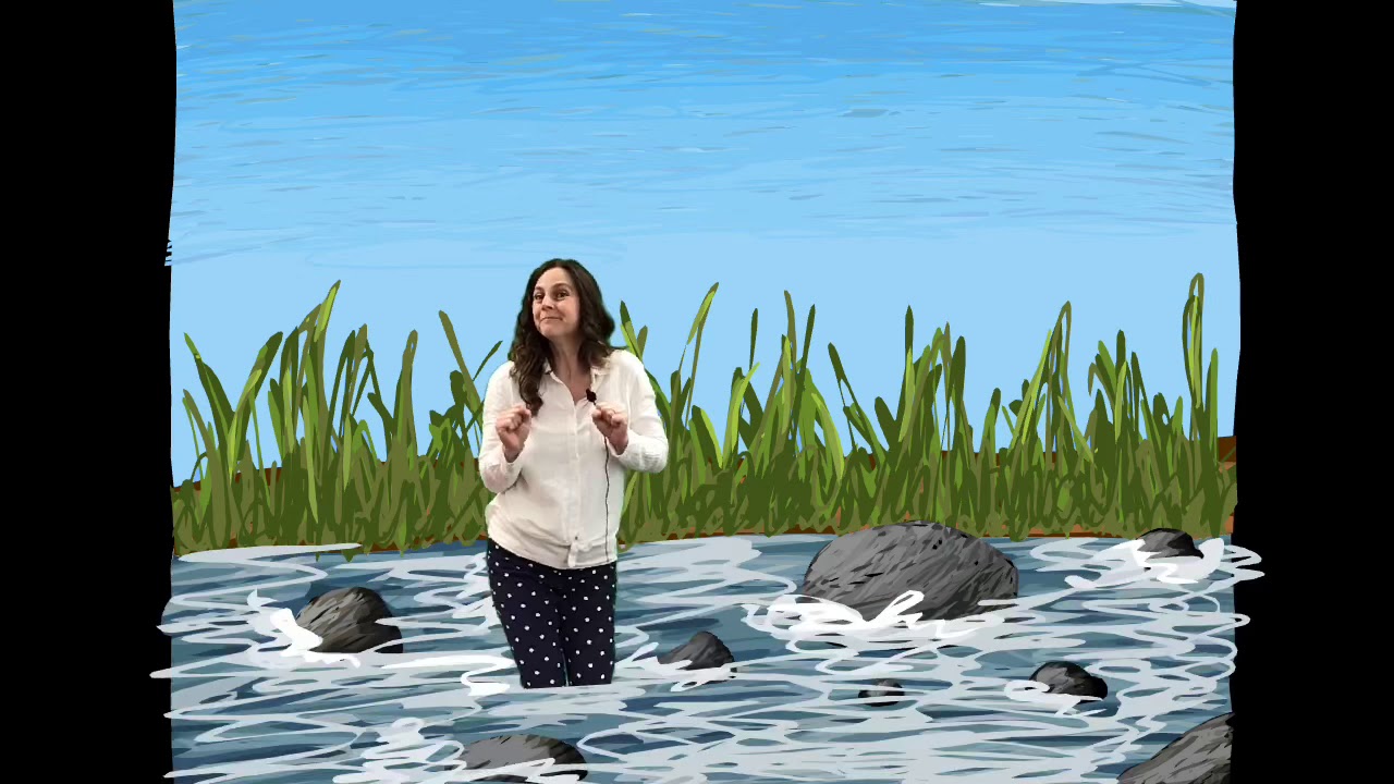 Frog Metamorphosis song with Mrs Duffield