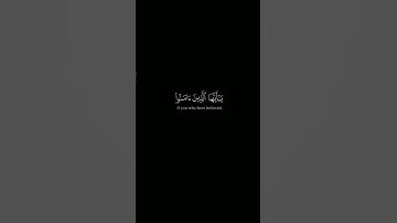 قرآن كريم بصوت ياسر الدوسري.  صلِ على النبي.