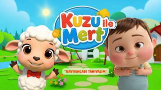 "Hayvanları Tanıyalım! 🦁 | Kuzular İçin Hayvan Sesleri