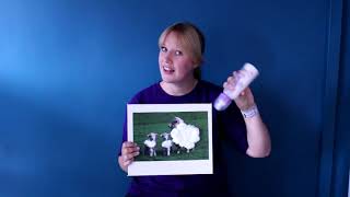 Accessible Arts & Media Online - Sensory Story - A Day at the Farm - prop making session