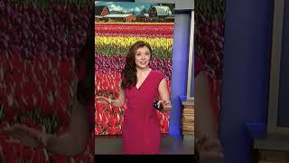 🔥 Abby Acone  #weather #shorts #foryou