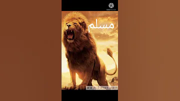 احنه الهيبة من الله 