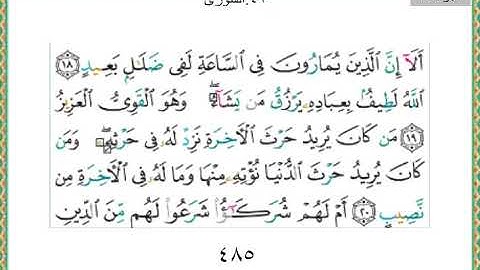 القران الكريم -  ياسر الدوسري - الجزء الخامس والعشرين -  25