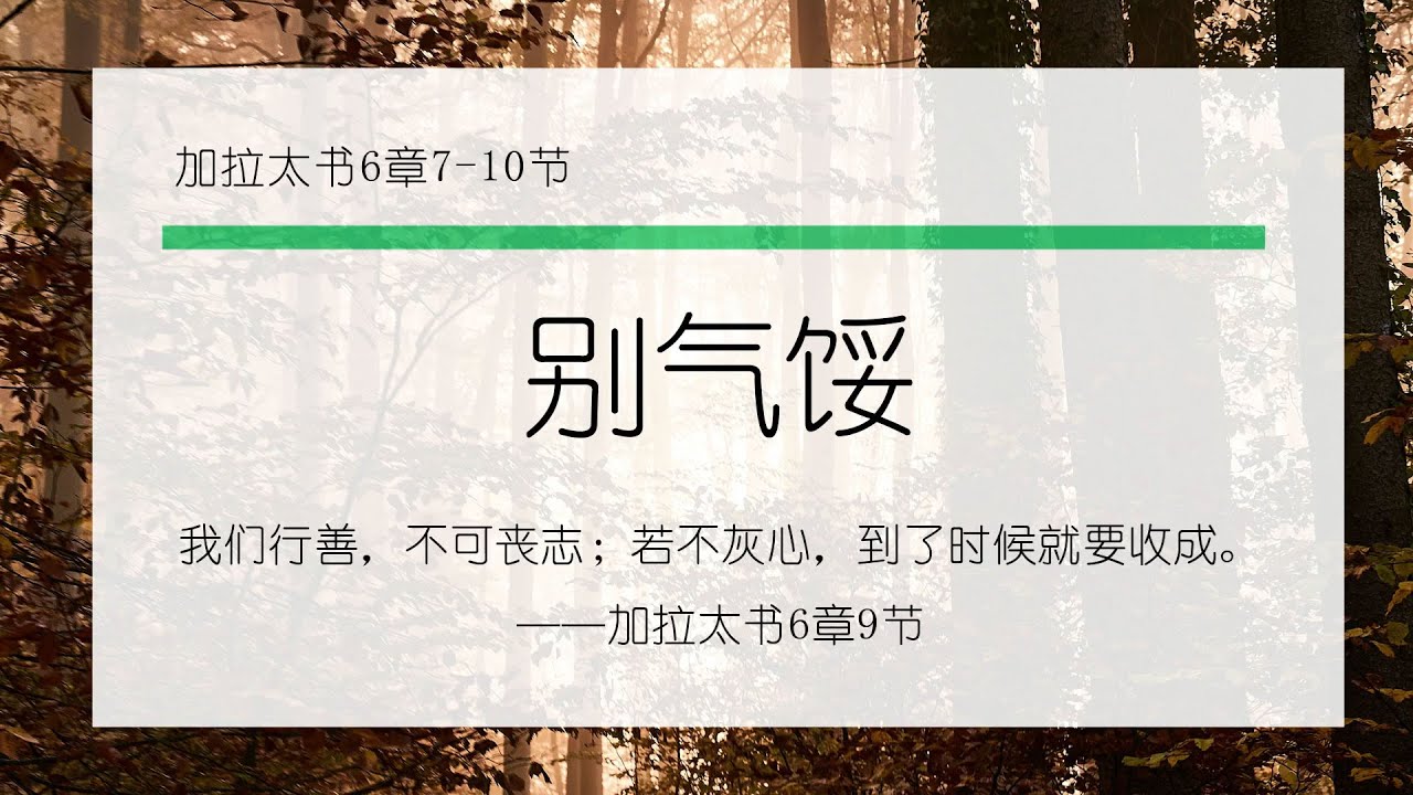 1月17日《灵命日粮》文章视频-别气馁 - YouTube