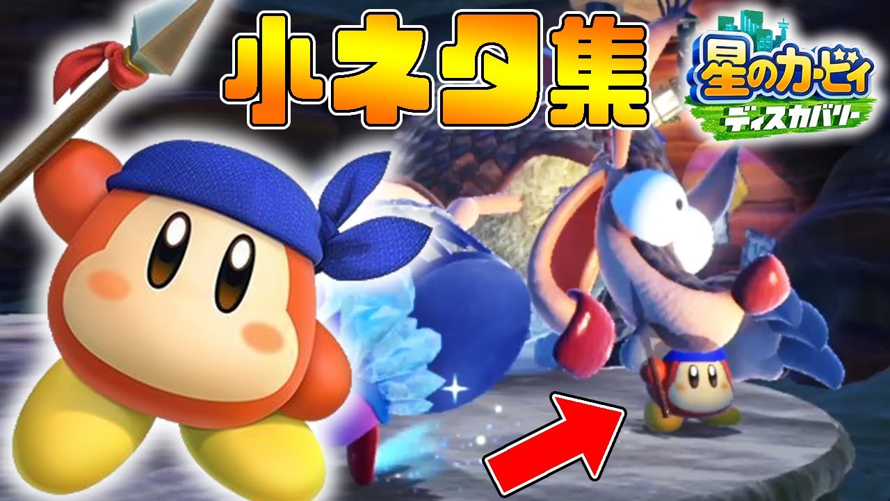 49【アルマパラパはワドルディを捕まえる!?】バンダナワドルディを使っ 