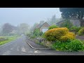 Foggy springtime walk in a sleepy english village  cotswolds england