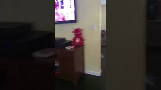 Ytp How To Basic Dragon Edition