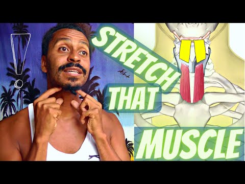 Sternum Up ! Yawning 2 – Anatomical Vocal Training (2)