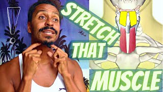 Sternum Up Yawning 2 Anatomical Vocal Training 2