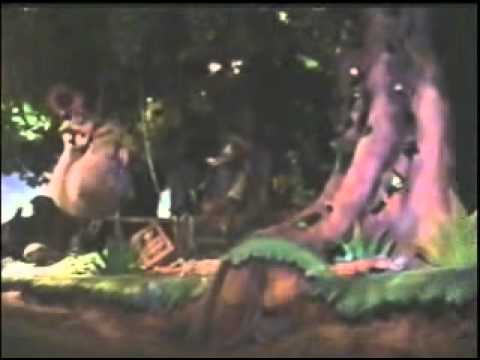 Splash Mountain WDW 07 - YouTube