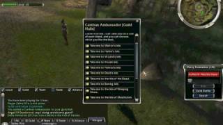 Guild Wars Glitch