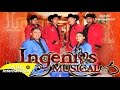 Ingenios musical