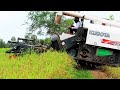 Best Action Combine Harvester Operator Skills Cropping Rice Rice Cutting Machinery Driving Skills