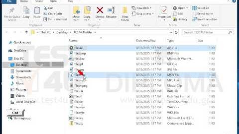 Delete all video files from the TEST4UFolder folder on your desktop.