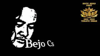 SATU ABAD - Terate Emas (Persaudaraan Setia Hati Terate)