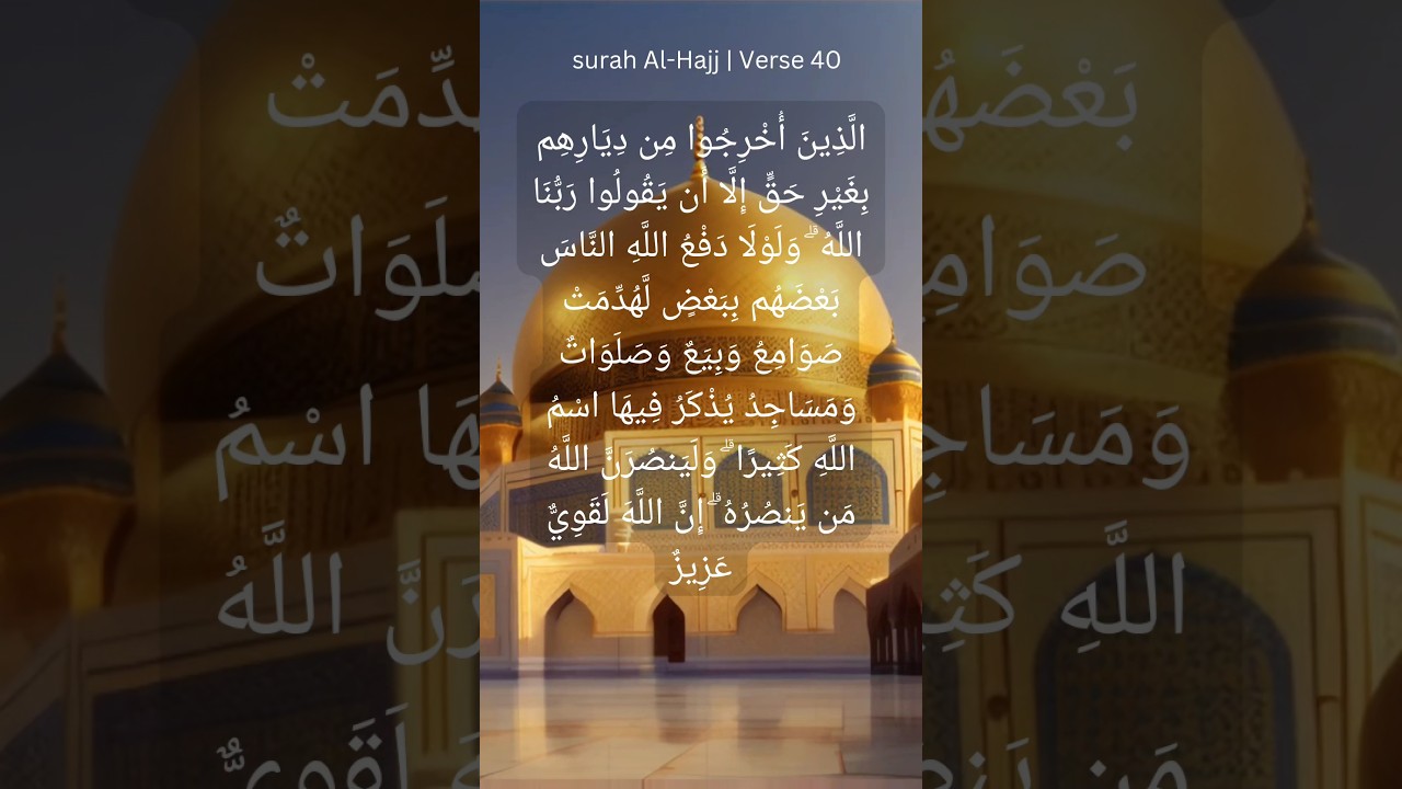 Daily Islamic Guidance 