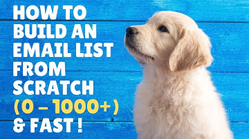 How To Build An Email List From Scratch (0 to 1000+) & Fast?