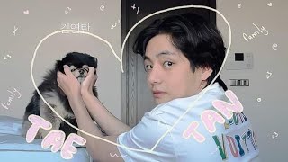 Yeontan Birthday Special Taehyung And Tannie Moments Bts Edit 2025