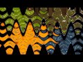 Letter School 4 In X Is High 