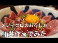 【マグロ丼】　本鮪の子、メジマグロをおろして、まぐろ丼にしてみました。10キロの鮪の捌き方！めじ鮪を食べてみました。　　Japanese food    tuna sushi