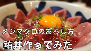 【マグロ丼】　本鮪の子、メジマグロをおろして、まぐろ丼にしてみました。10キロの鮪の捌き方！めじ鮪を食べてみました。　　Japanese food    tuna sushi