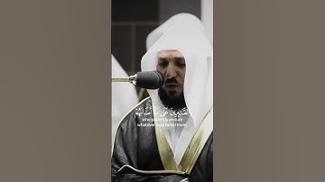 تلاوة من الشيخ ماهر المعيقلي #quran #قرآن #راحة_نفسية #تلاوة_خاشعة #قران_كريم