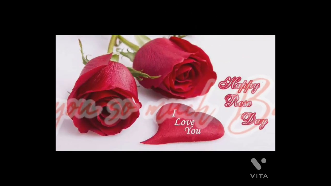 Happy Rose Day music Khuda_Aur_Muhbat WhatsApp status video