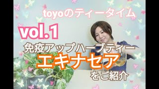 エキナセア【toyoのティータイム】